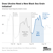  Does Ukraine Need a New Black Sea Grain Initiative?